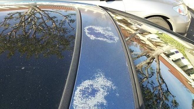 Cómo afectan los cambios de temperatura a la pintura del coche