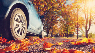 Los puntos vitales del coche a revisar para garantizar su rendimiento en otoño