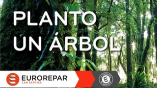 Eurorepar lanza una campaña para reforestar los manglares de Senegal