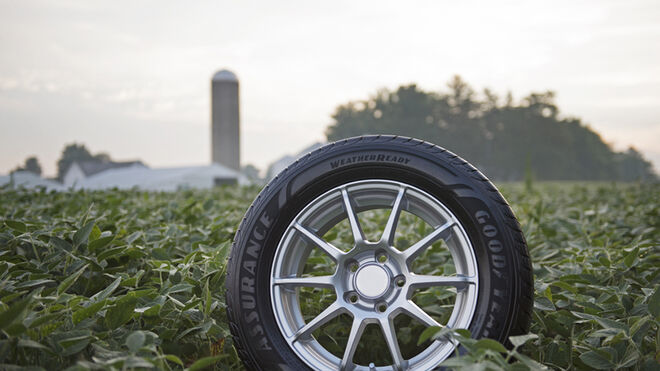Goodyear afianza su política de abastecimiento sostenible de soja para crear neumáticos