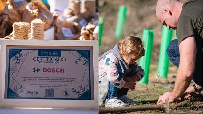 El programa Bosch eXchange contribuye a la protección del medio ambiente con una reforestación