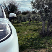 Ford estudia el uso de reposapiés y maleteros fabricados a partir de ramas de olivo