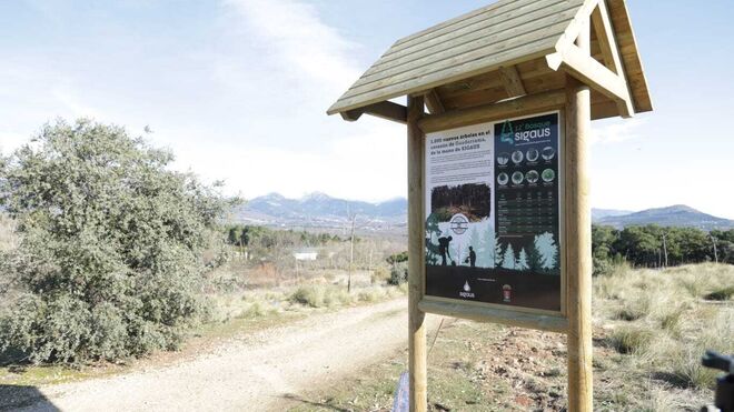 Sigaus inaugura en Guadarrama (Madrid) su duodécimo bosque con 1.000 especies autóctonas