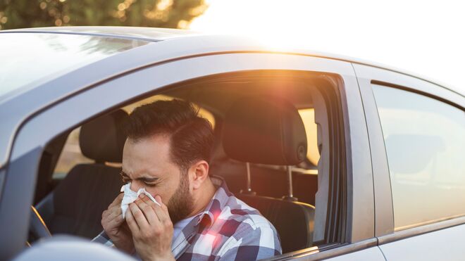 El aumento de los niveles de polen adelanta los cambios de filtros de los vehículos