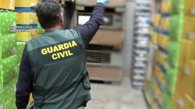 Seis detenidos en Barcelona y Jaén, integrantes de una red que robaba y vendía recambios de iluminación