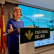 Faconauto propone un plan de descarbonización del parque automovilístico de Andalucía
