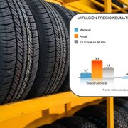 El precio de los neumáticos cayó en abril el 2,5% y acumula 14 meses de bajadas